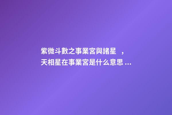 紫微斗數之事業宮與諸星，天相星在事業宮是什么意思？